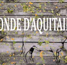 Blonde d'aquitaine